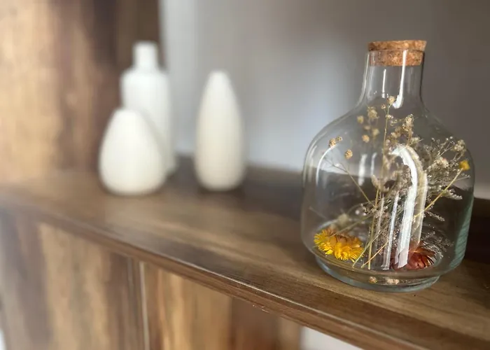 Gatu Casa Solera, Un Lugar Unico, \