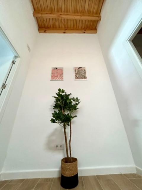 Gatu Casa Solera, Un Lugar Unico, 