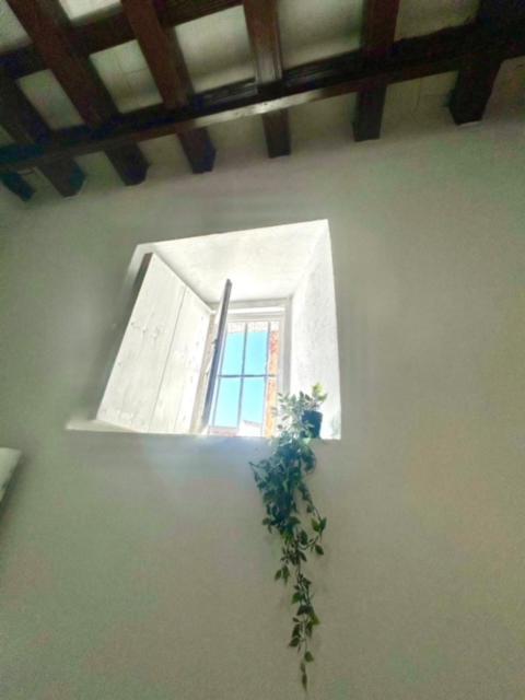 Gatu Casa Solera, Un Lugar Unico, 